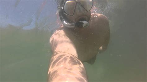 corpus christi snorkeling